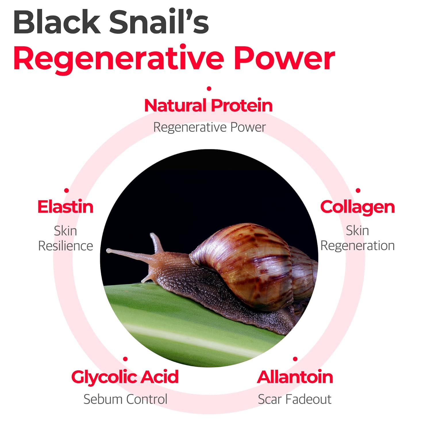 Some By Mi Snail Truecica Miracle repair Low pH Gel Cleanser - Image 3